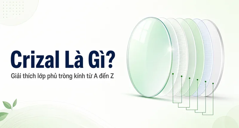 Crizal Là Gì? Giải Thích Từ A Đến Z