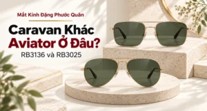 Minh họa editorial so sánh dáng Caravan và Aviator, không phải ảnh exact của hai model