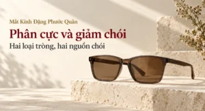 Ảnh bìa cặp kính râm gọng chữ nhật tròng nâu nhạt đặt trên bậc đá sáng cho bài so sánh tròng phân cực và tròng giảm chói