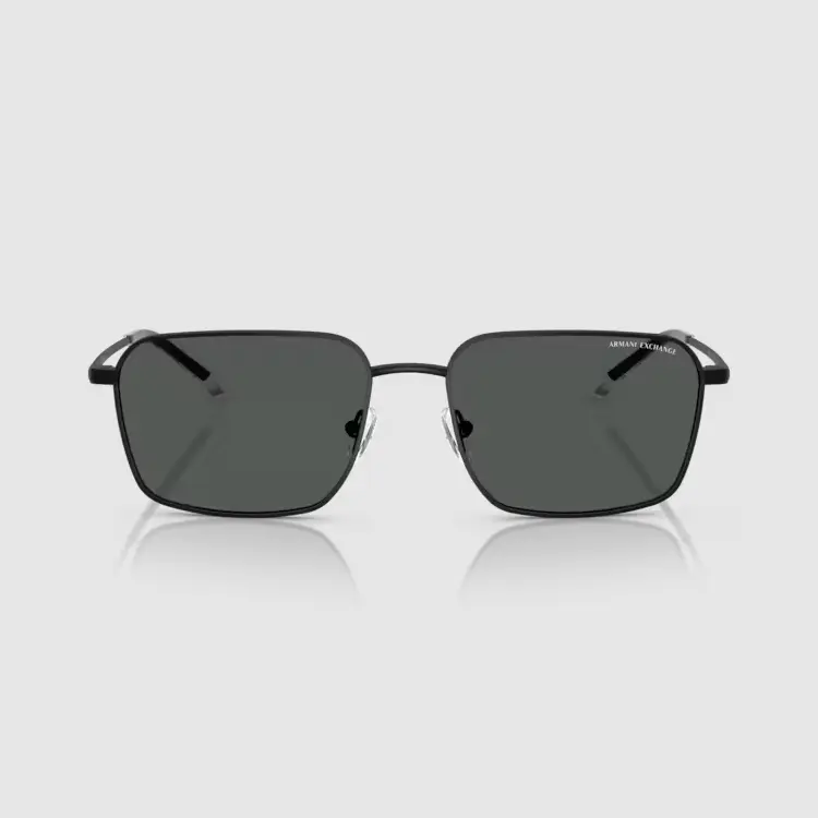 Kính mát Armani Exchange 0AX2053S