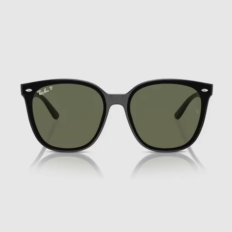 Kính mát Rayban 0RB4423D