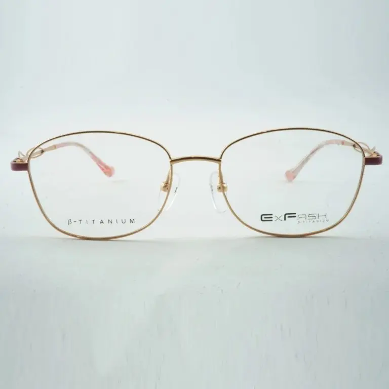 Gọng kính Exfash EF33250T