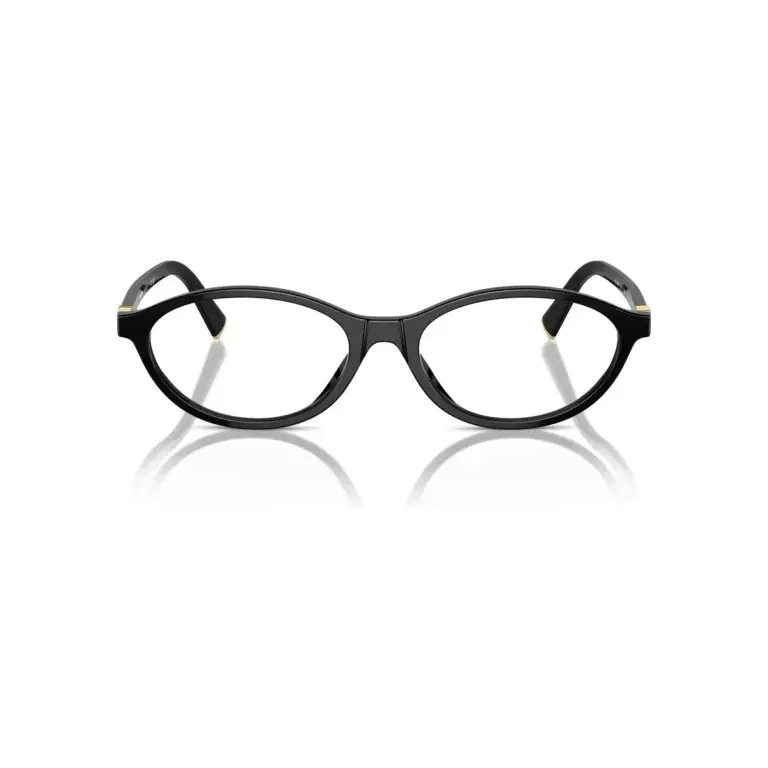 Ảnh chính diện gọng kính Miu Miu MU 09XVF mã 16K1O1