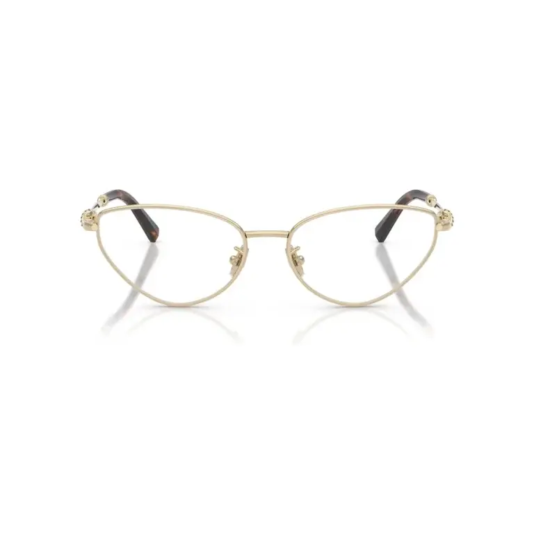 Ảnh chính diện gọng kính Tiffany TF1172B mã 6021