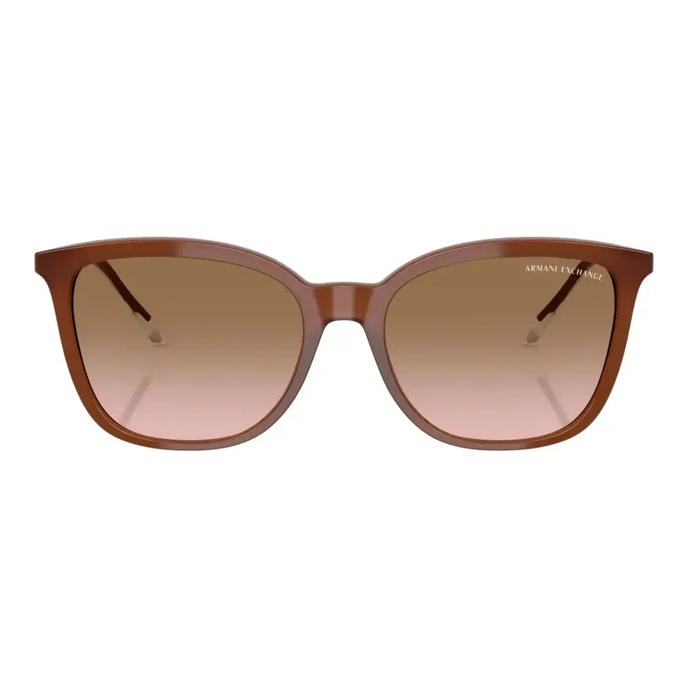 Ảnh chính diện kính mát Armani Exchange AX4151SF mã 836511