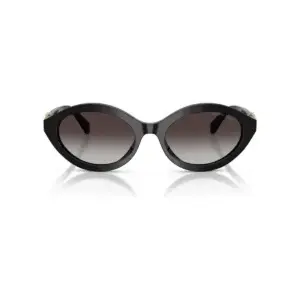 Kính mát Michael Kors Carlazzo MK2257U – Đen · Mã 30058G – ảnh 1
