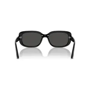 Kính mát Ray-Ban RB4421D – Đen · Mã 667787 – ảnh 4
