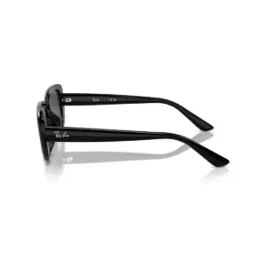 Kính mát Ray-Ban RB4421D – Đen · Mã 667787 – ảnh 3