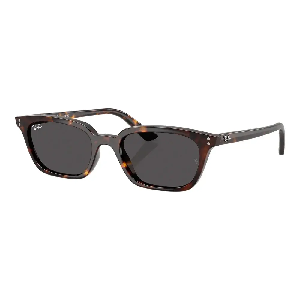 Kính mát Ray-Ban RB4456F – Đen · Mã 667781 – ảnh 3