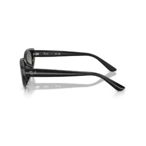 Kính mát Ray-Ban RB4457D – Đen · Mã 667711 – ảnh 3