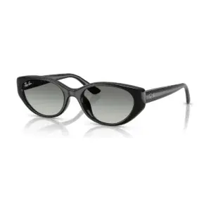 Kính mát Ray-Ban RB4457D – Đen · Mã 667711 – ảnh 2