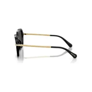 Kính mát Swarovski SK6040F – Đen · Mã 100187 – ảnh 3