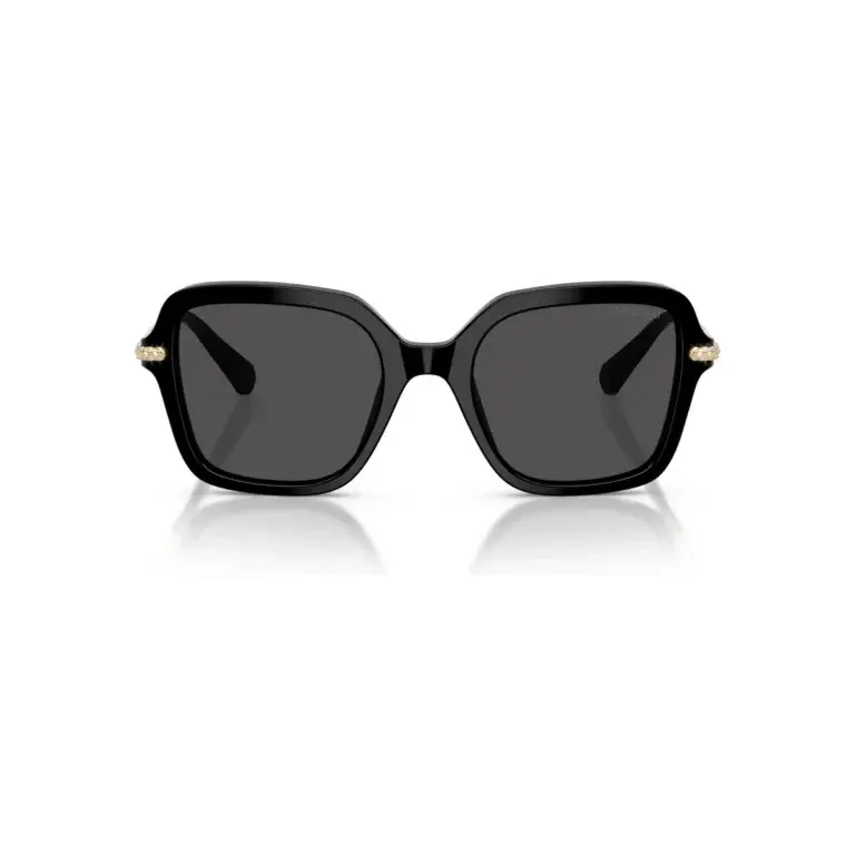 Ảnh chính diện kính mát Swarovski SK6040F mã 100187