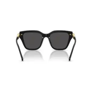 Kính mát Swarovski SK6041F – Đen · Mã 100187 – ảnh 4