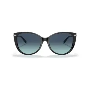 Kính mát Tiffany TF4178F – Đen · Mã 80019S – ảnh 1