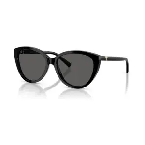 Kính mát Tiffany TF4251F – Đen · Mã 8001S4 – ảnh 2